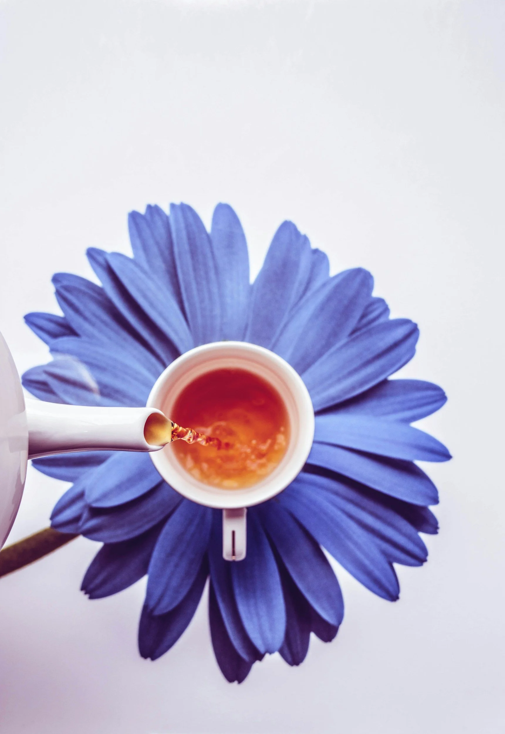 Blue flower-shaped paper decorative piece, with a white teacup filled with tea and a tea bag with a string and tag, on top of the flower, on a white background.