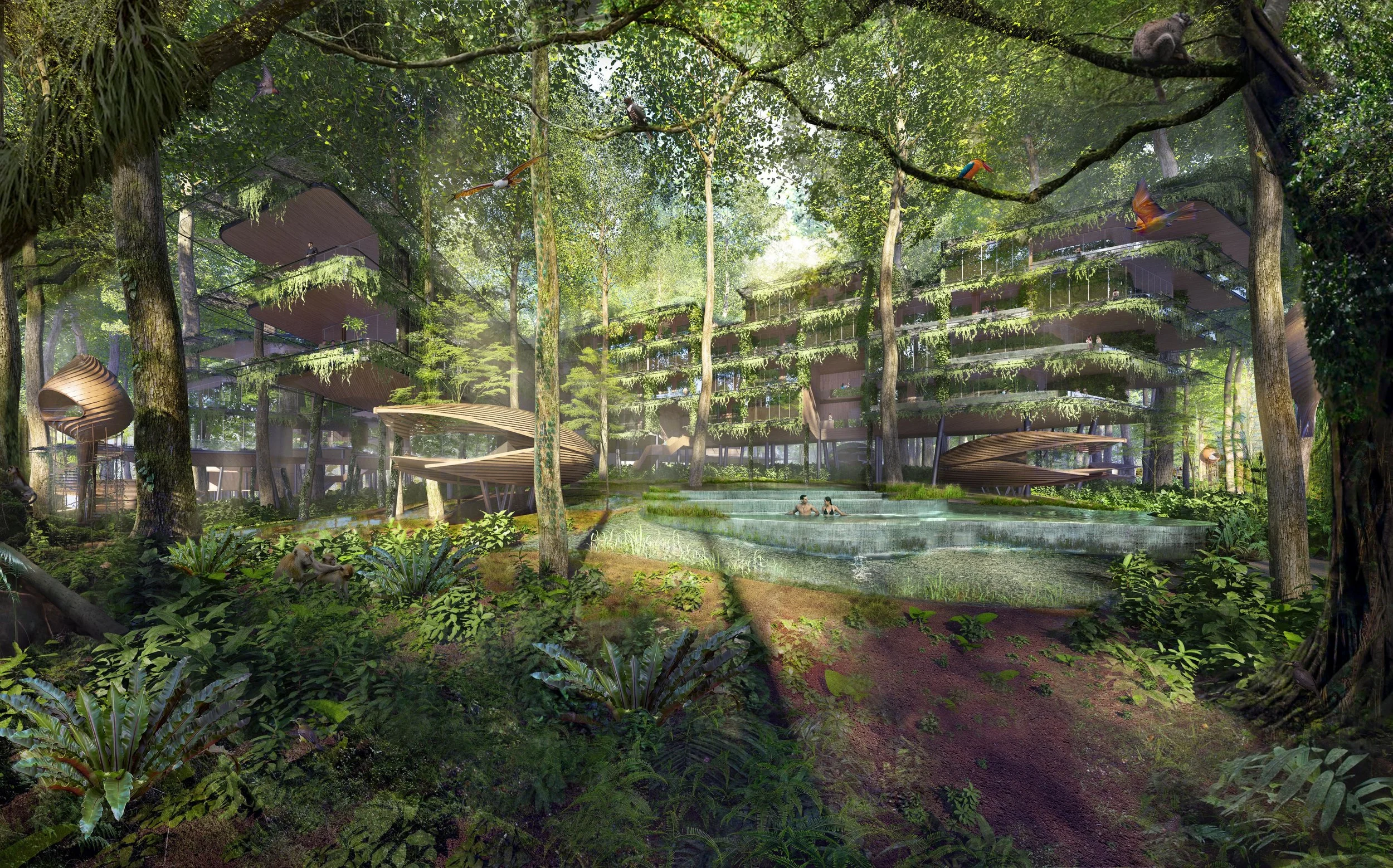 mth_wow_jr_View 01_c10_opB copy.jpg