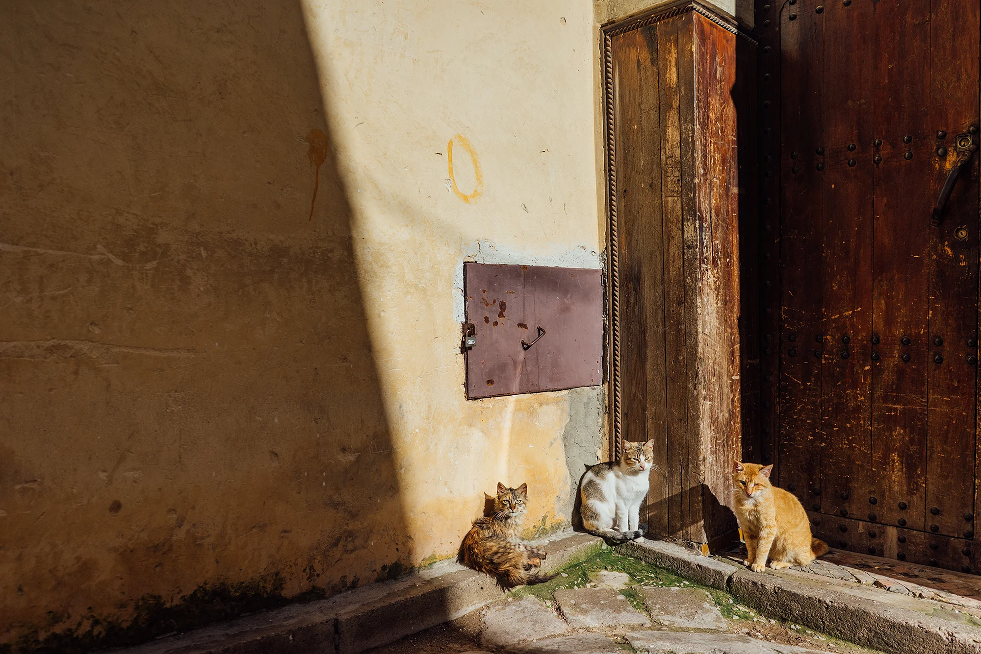  Fez, Morocco  