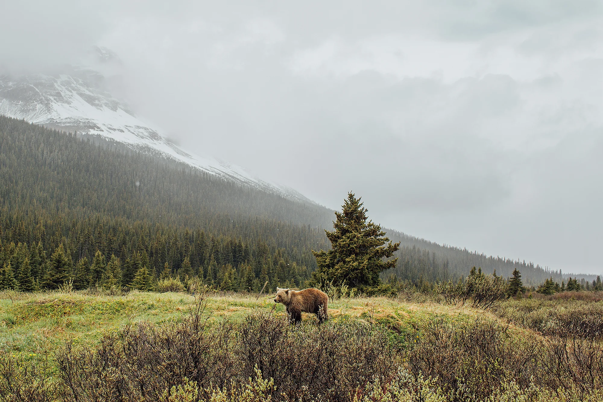  Banff National Park, Canada 