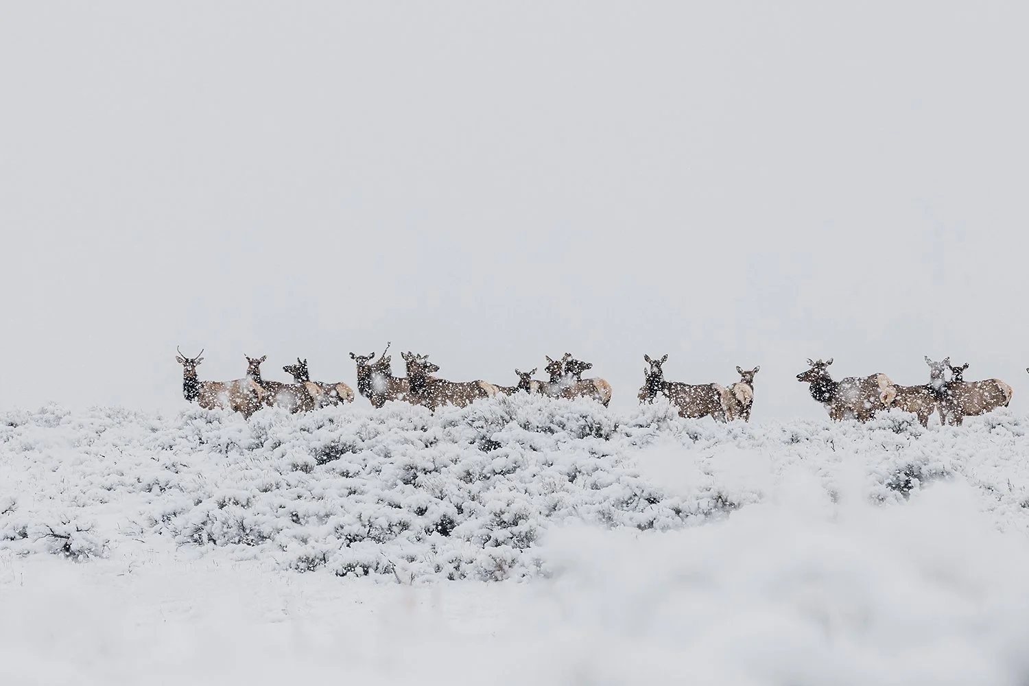  Grand Teton National Park, USA  