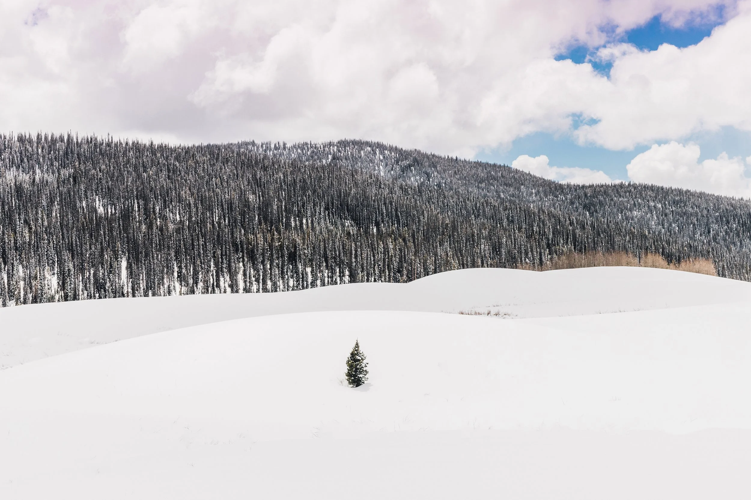  Grand Teton National Park, Wyoming 