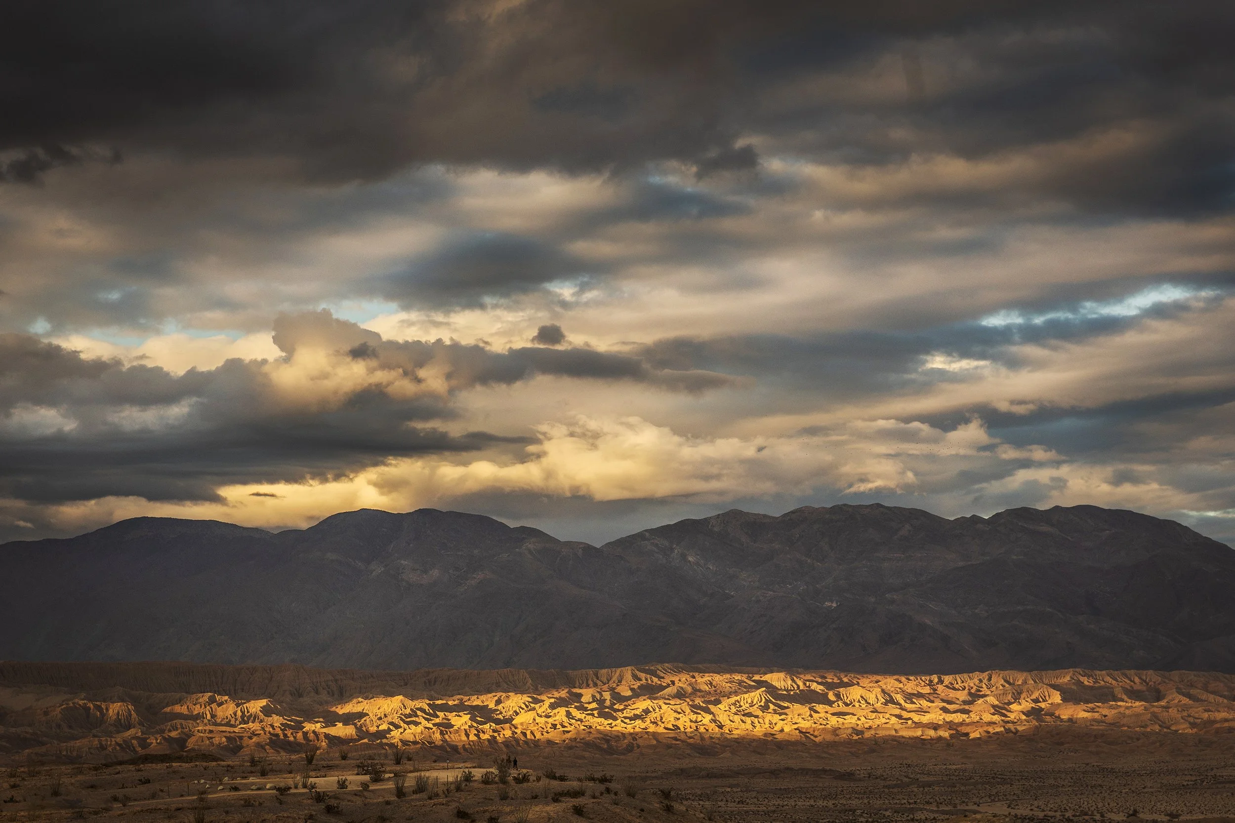  Anza Borrego State Park, CA  