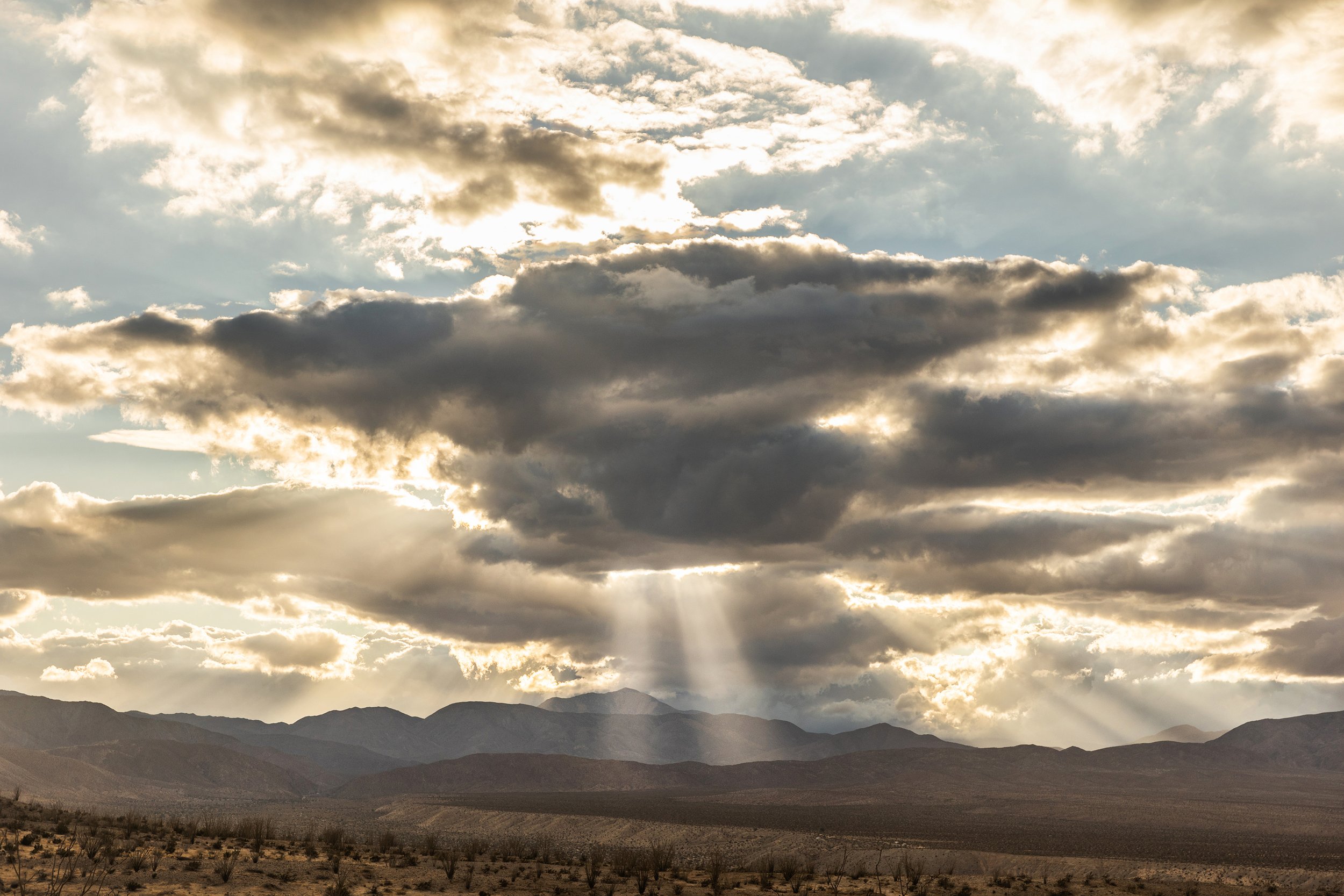  Anza Borrego State Park, CA  
