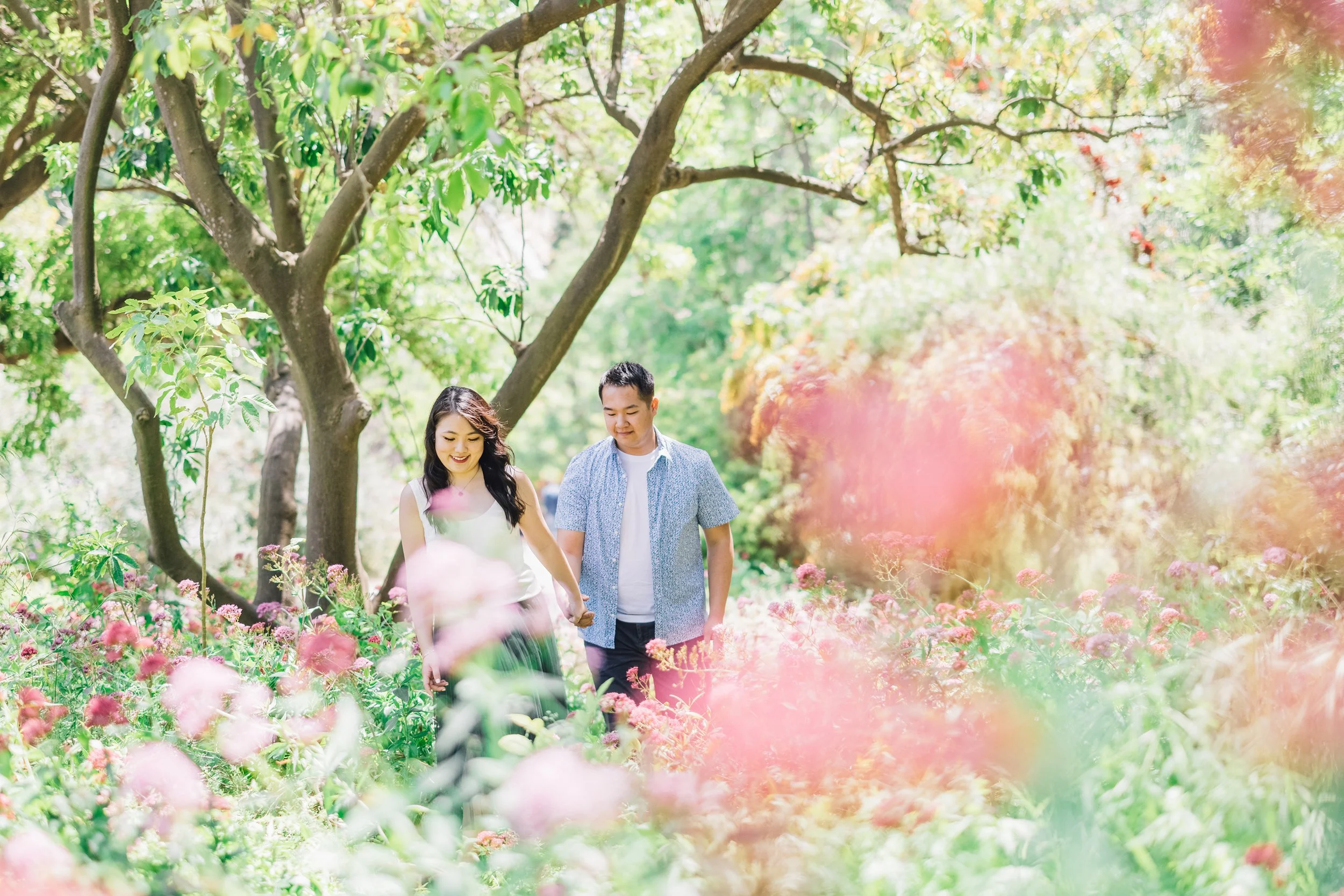  South Coast Botanical Garden, CA  