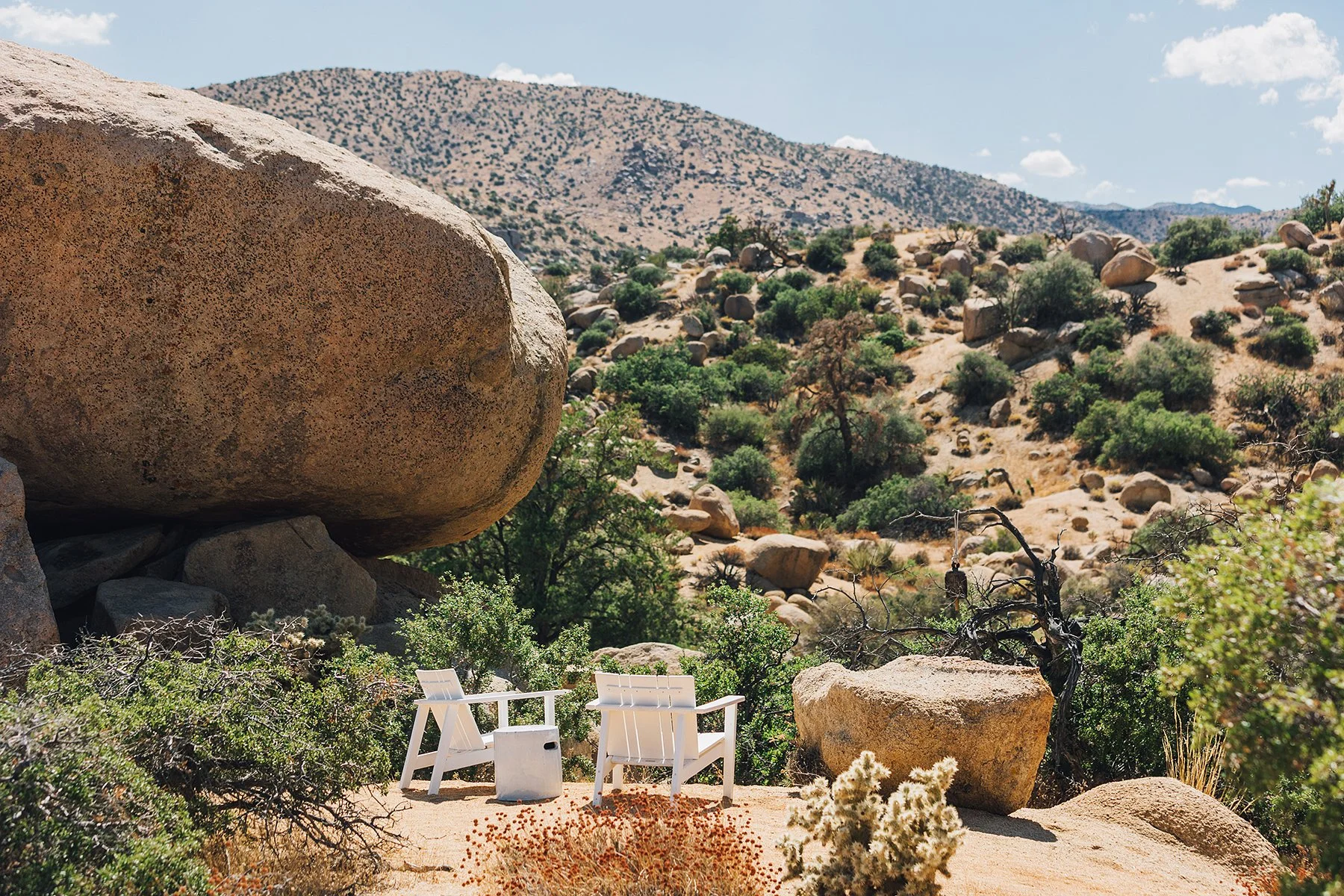 Joshua Tree, CA 