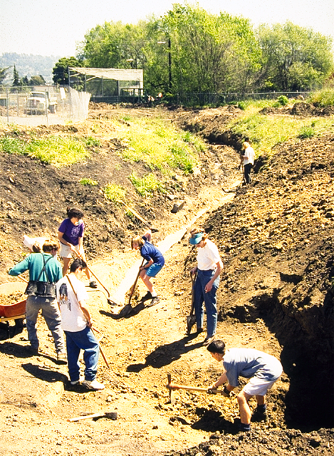 Creek restoration, Albany, California