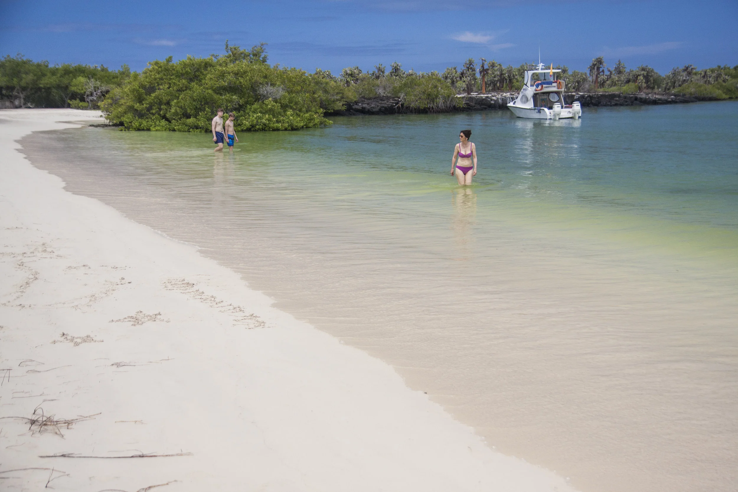 Tortuga Bay, near Puerto Ayora