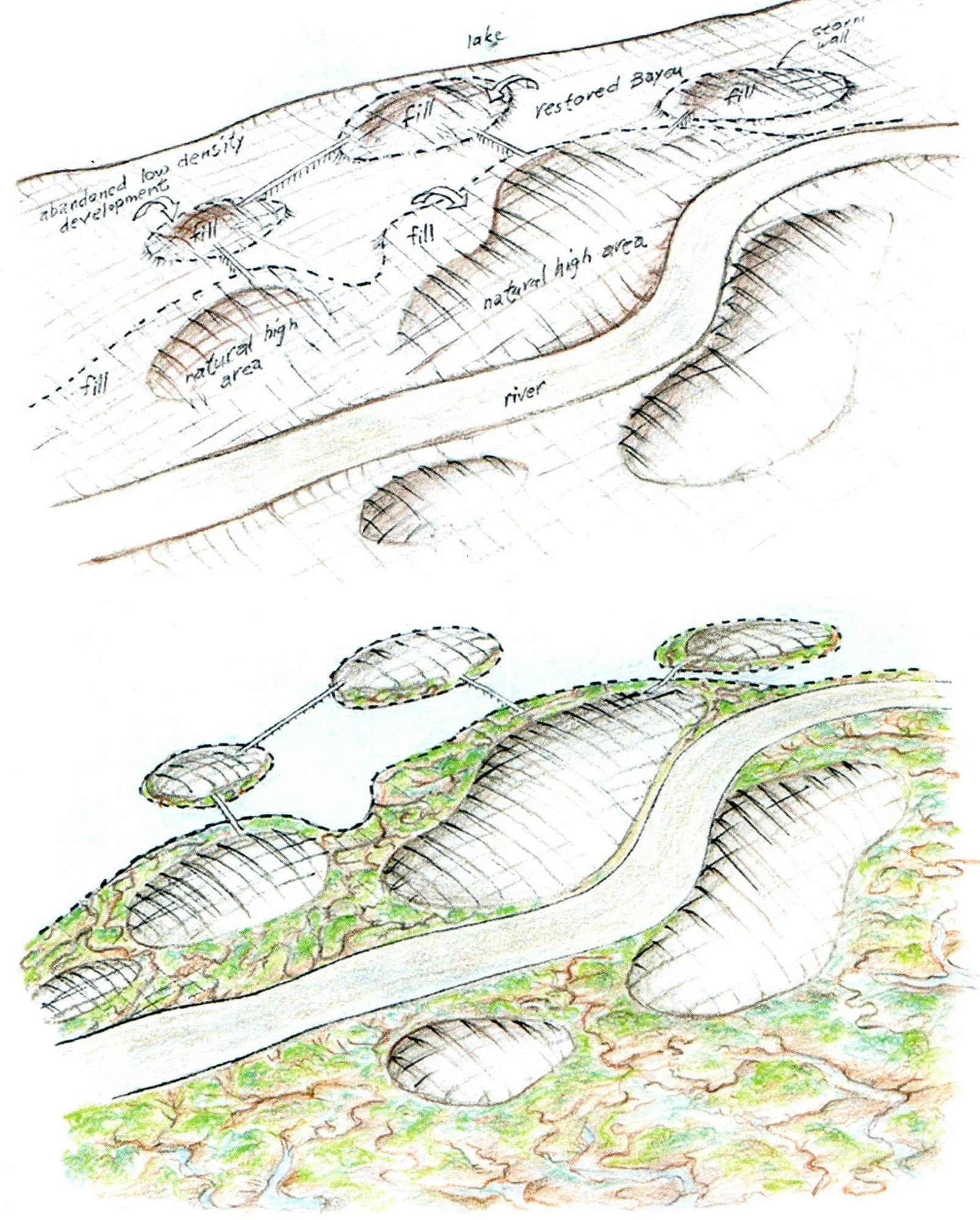 A generalized model for elevating cities and restoring natural landscapes (all drawings by Richard Register)