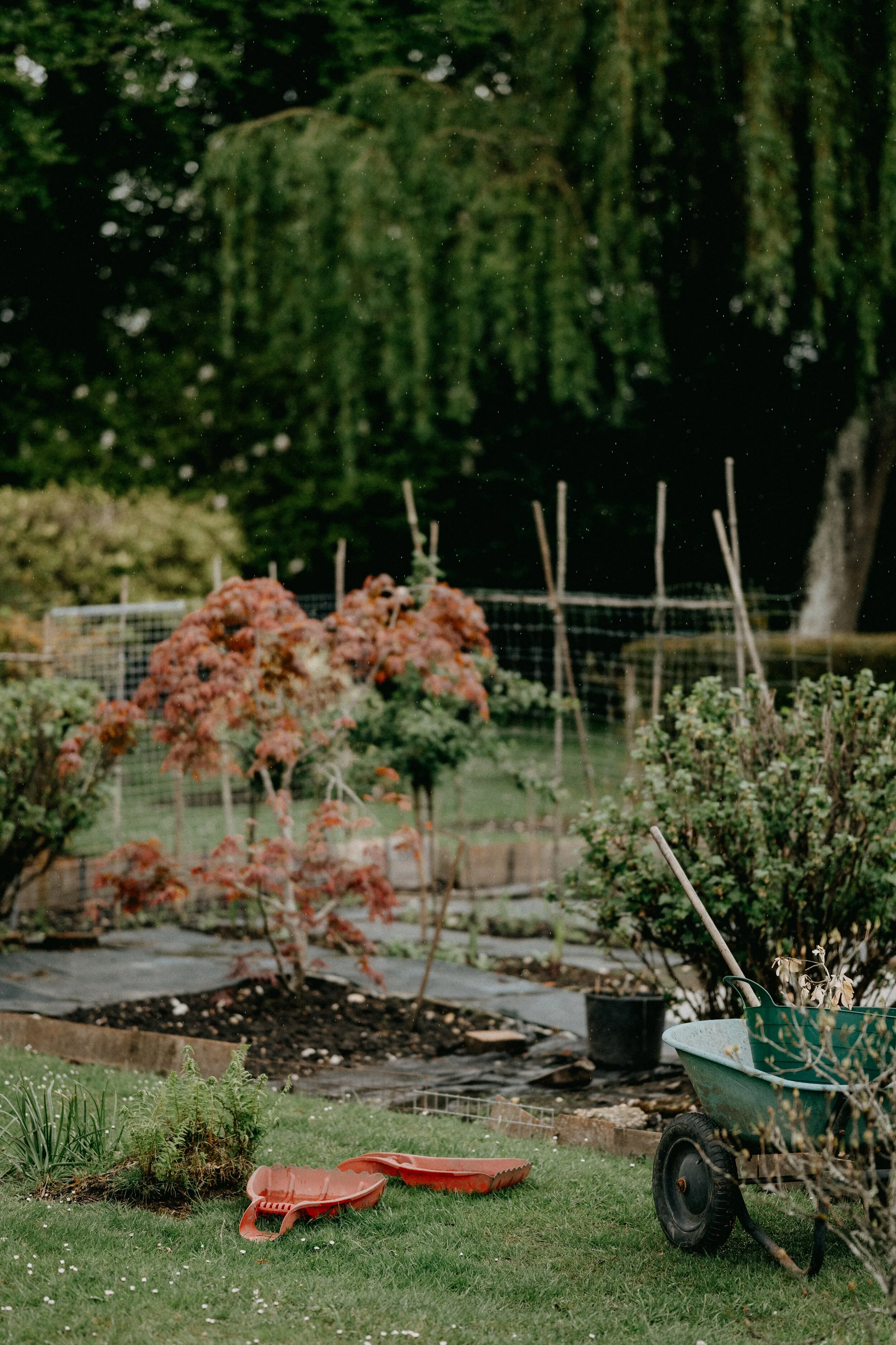 annie-spratt-gKMztIkOjPY-unsplash.jpg