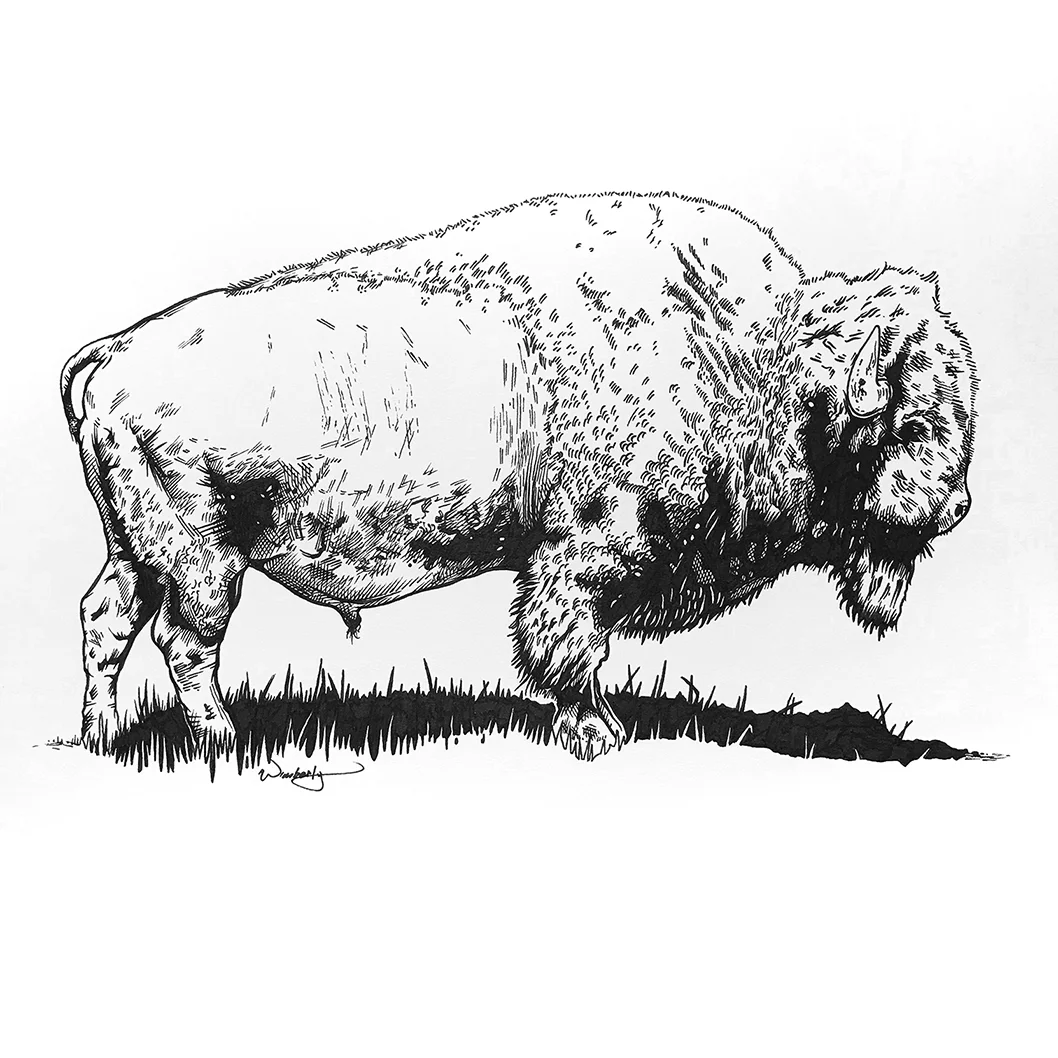 Major Bison