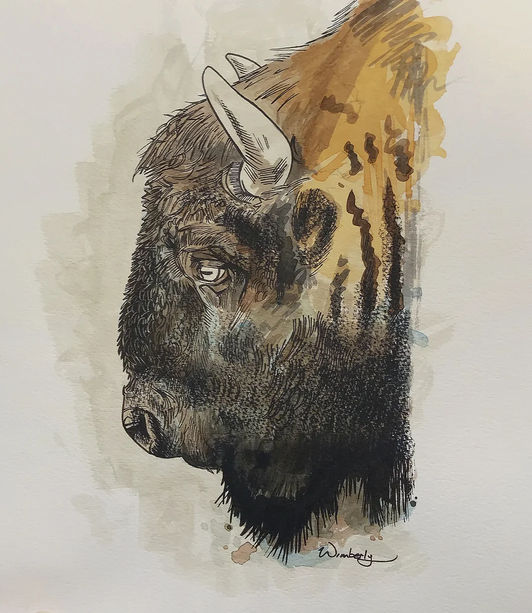 Buffalo