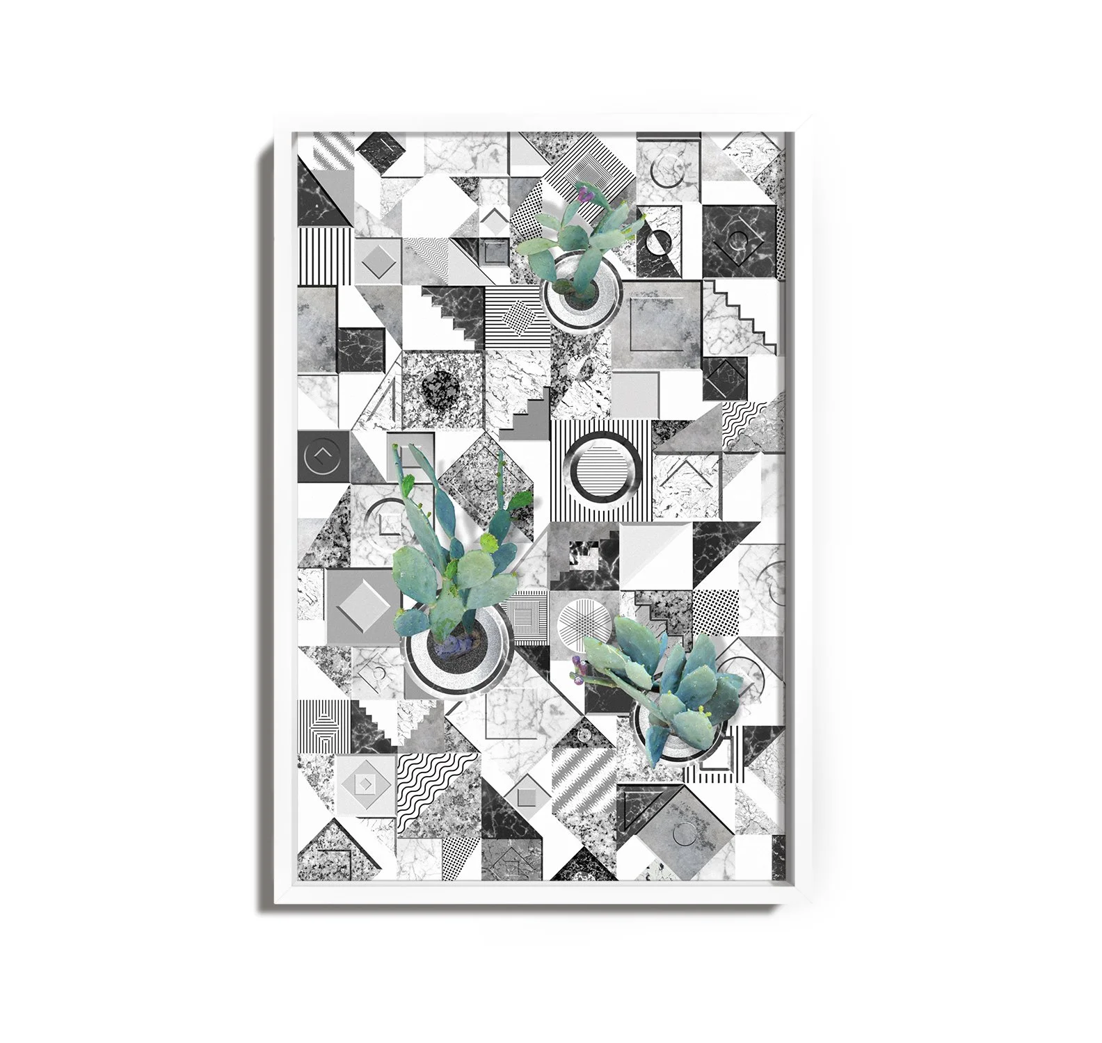 Cactus Garden Framed WhiteBG.jpg