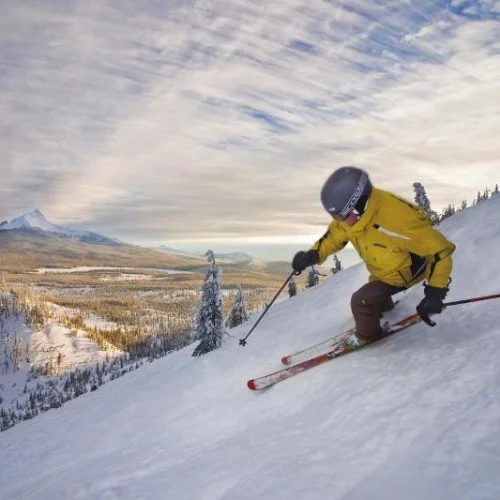 MY VOICE MUSIC’S GIVE!GUIDE INCENTIVES