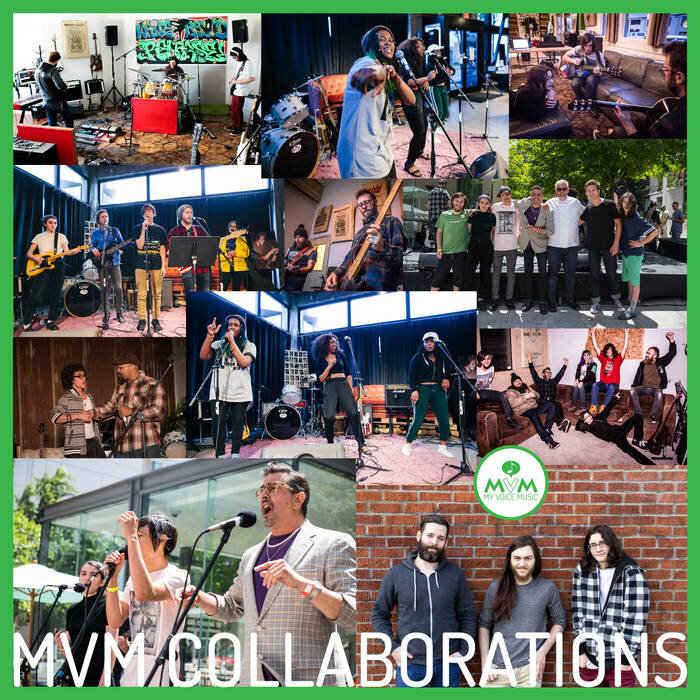 MVM Collaborations