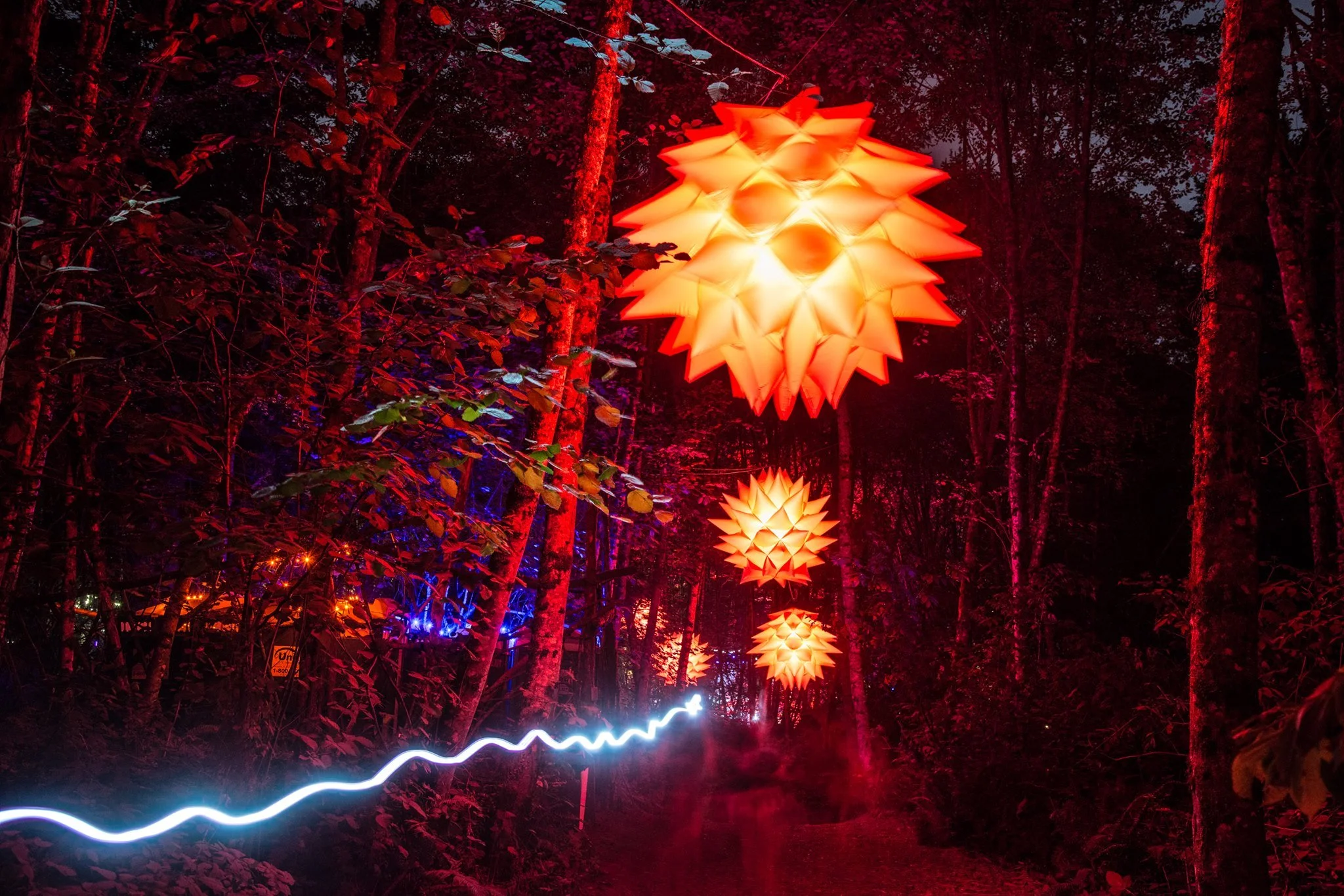 Pickathon1.jpeg