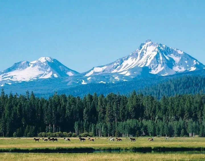 Black Butte30.jpeg