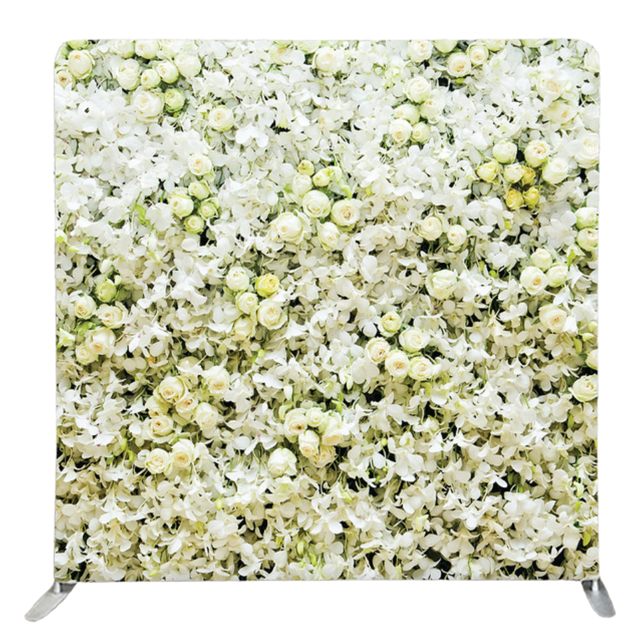PRINTED Flower Wall