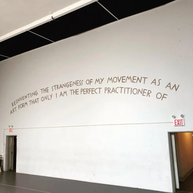 Portable Murals — Finnegan Shannon
