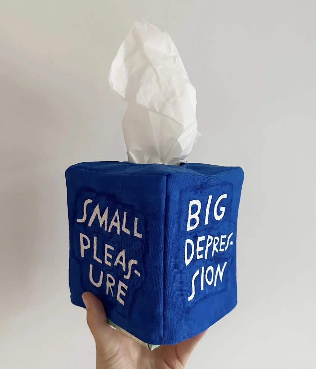 My hand holding a tissue box with a blue cover. On one face, hand-painted text says, “small pleasure.” On the other side it says, “big depression.” A tuft of tissue comes out of the top