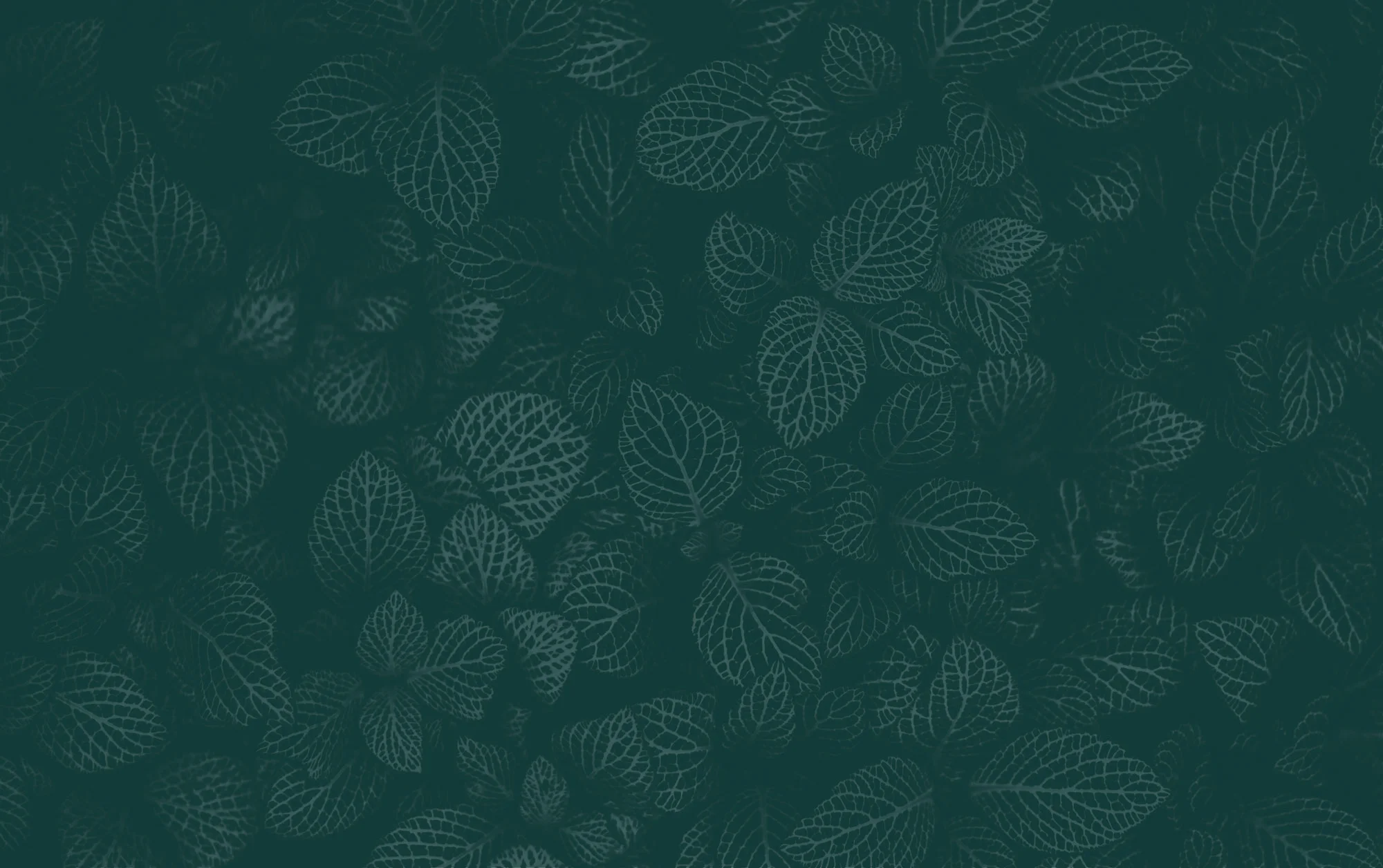 Leaves_Green3.jpg