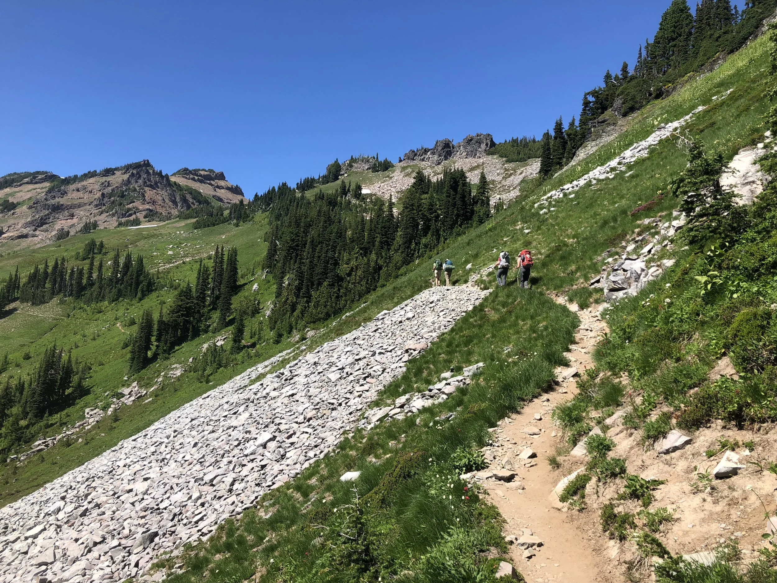 The trail approaching Goat Lake