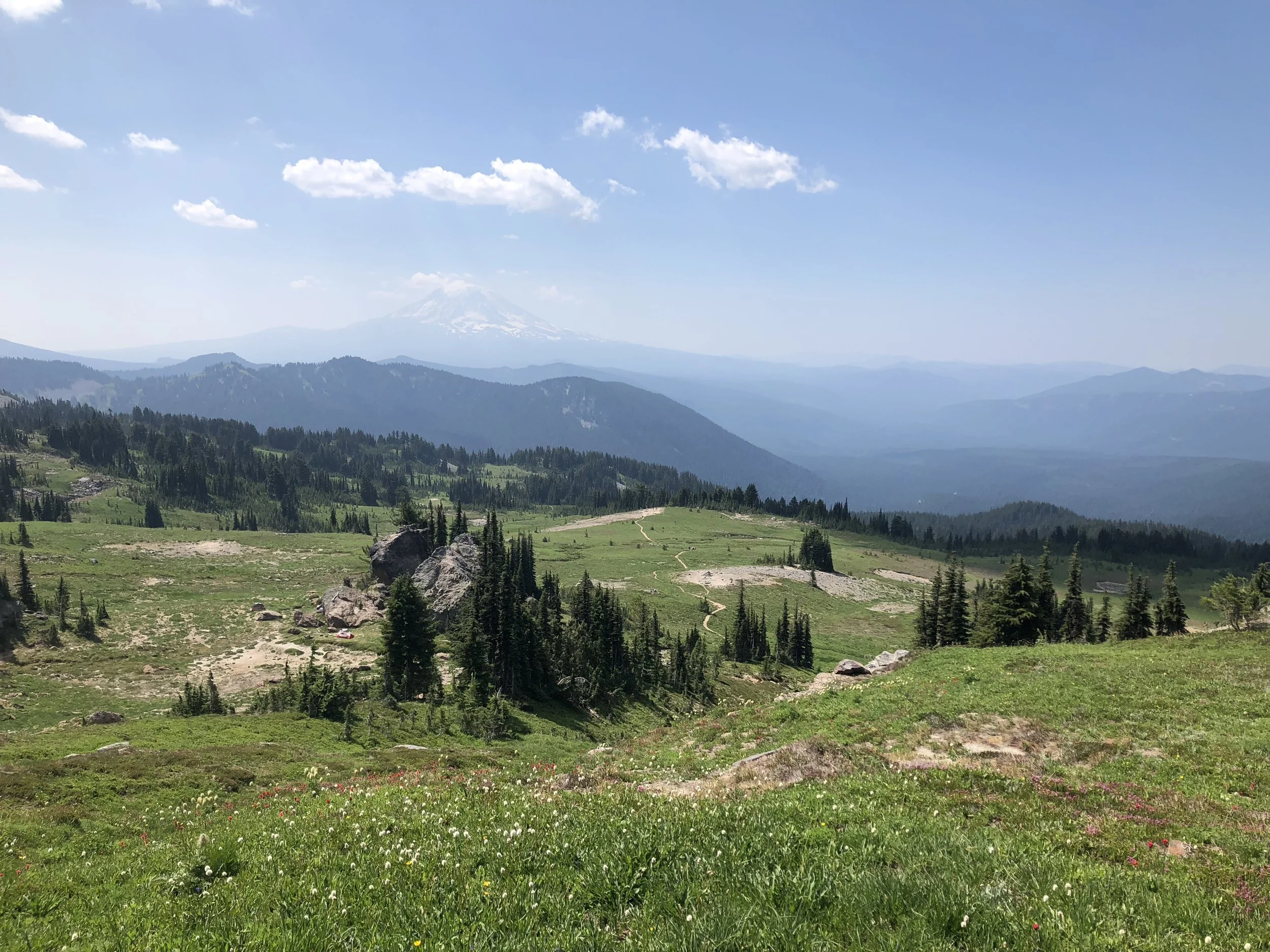High Alpine Meadows on top of the world. That's Mount Adams in the background, and a really hazy Mount Saint Helens.