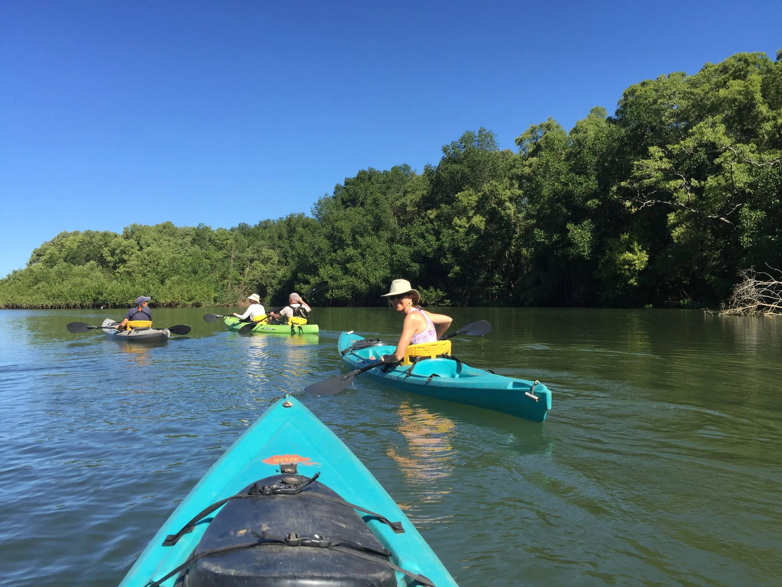 Kayaking in the Nosara estuary. Birds galore! But alas, no zoom lens, no real camera.