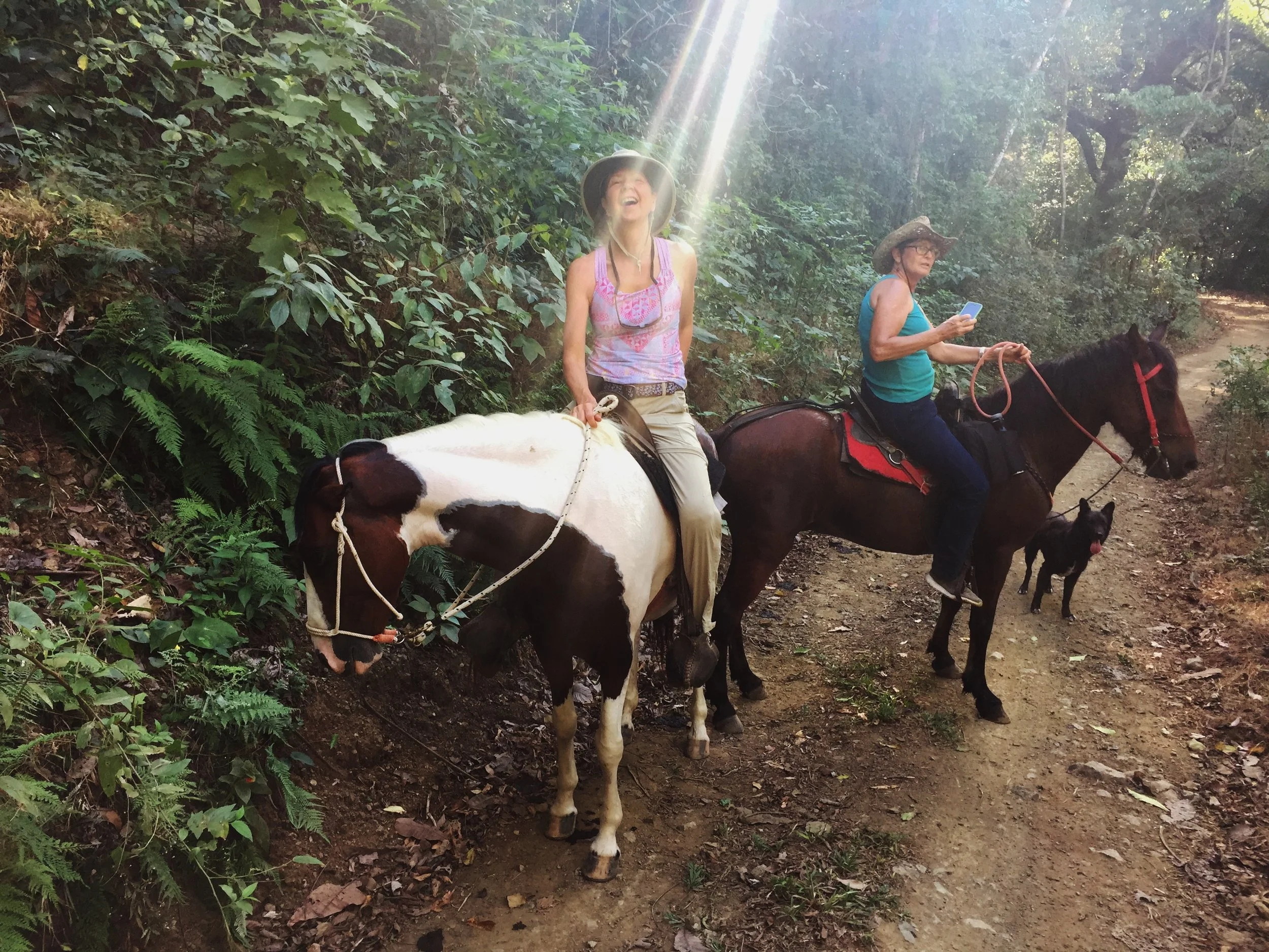 I'm not sure if the light is coming from Sharon or going to her, but either way she's the light of my life! A wonderful local guide named Gabrielle took us horseback riding. She was quite knowledgeable about the ecosystem.