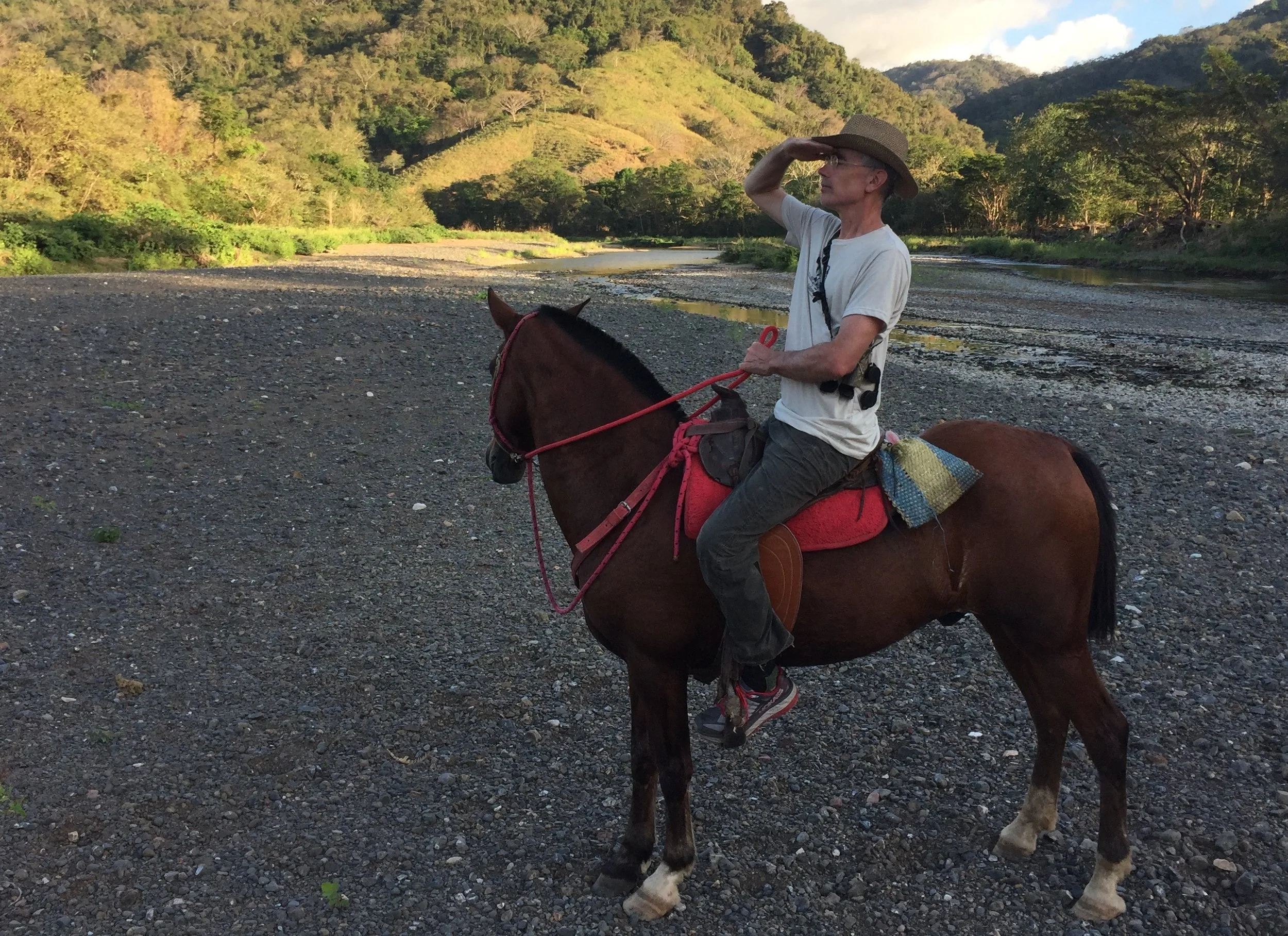 Horsing around…