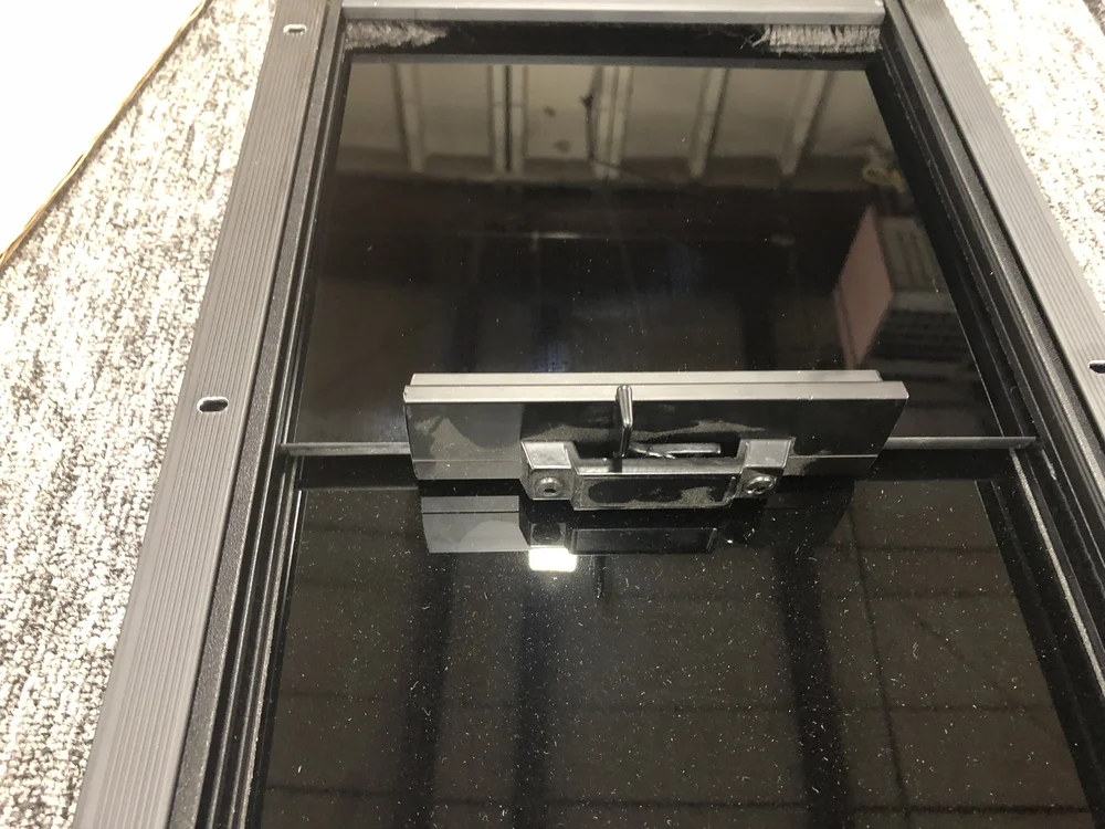 Motion Windows Install — Sunlight and trees