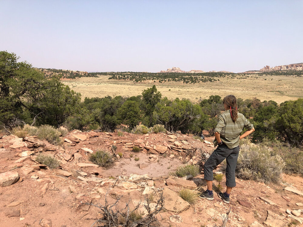 Larger kiva at Tower Ruin