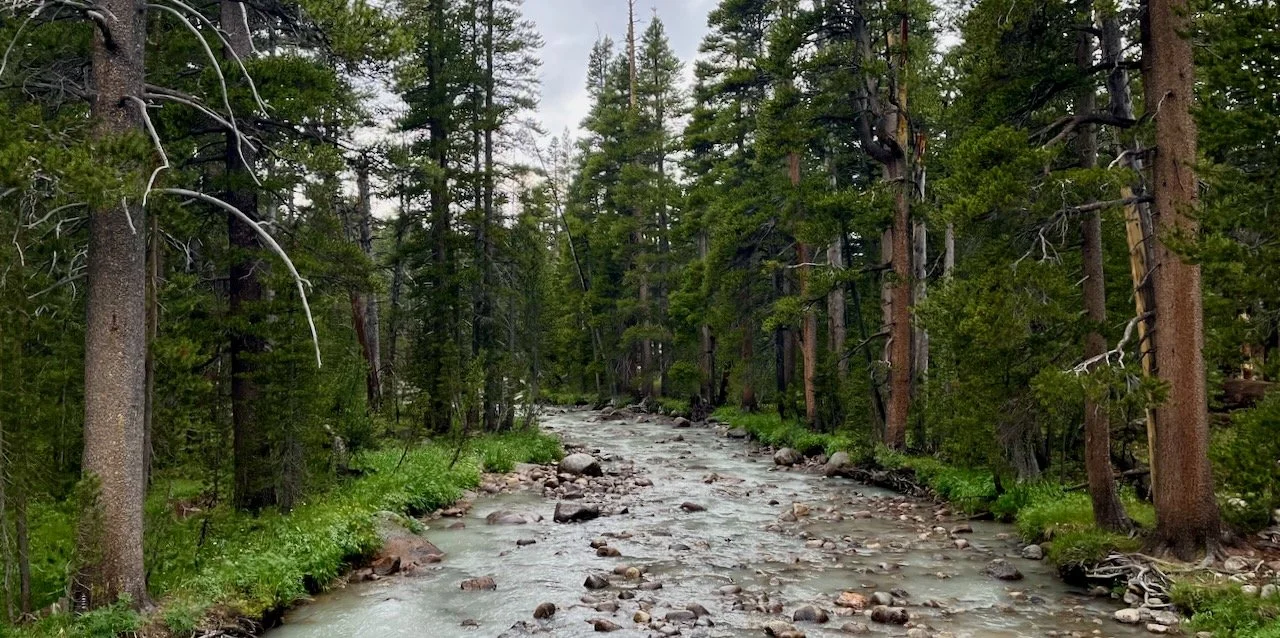 Rivers as Home, Rivers as Relatives