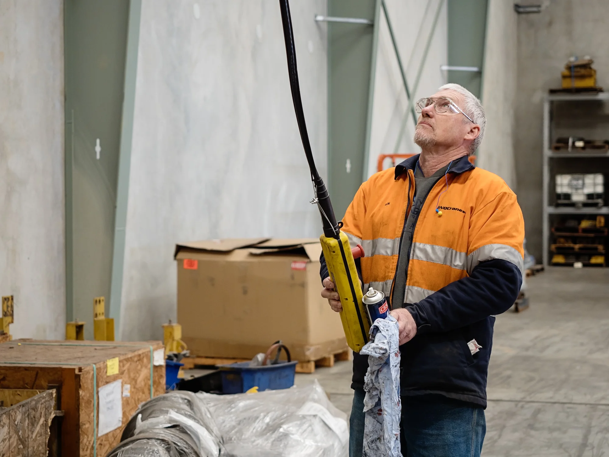 NQCranes-team-member-maintaining-overhead-crane.jpg