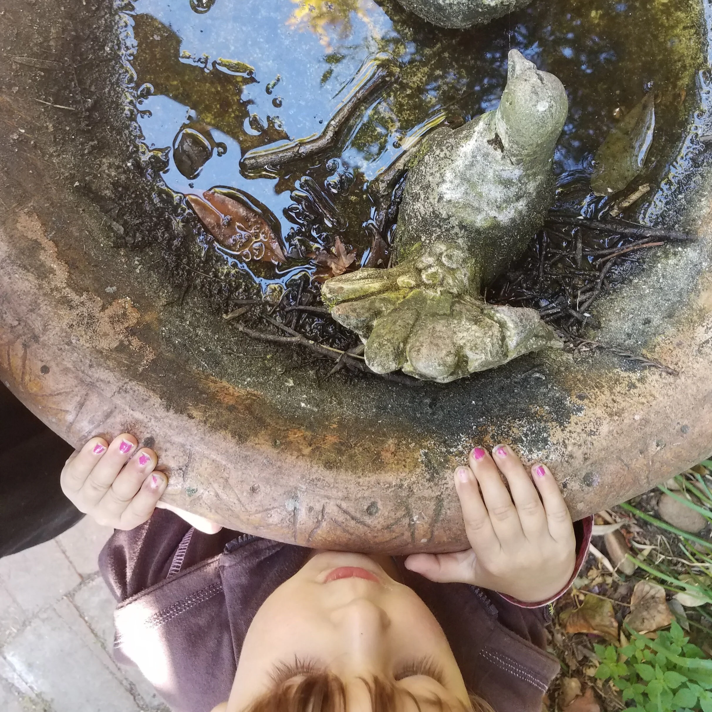 When to Distrust Process