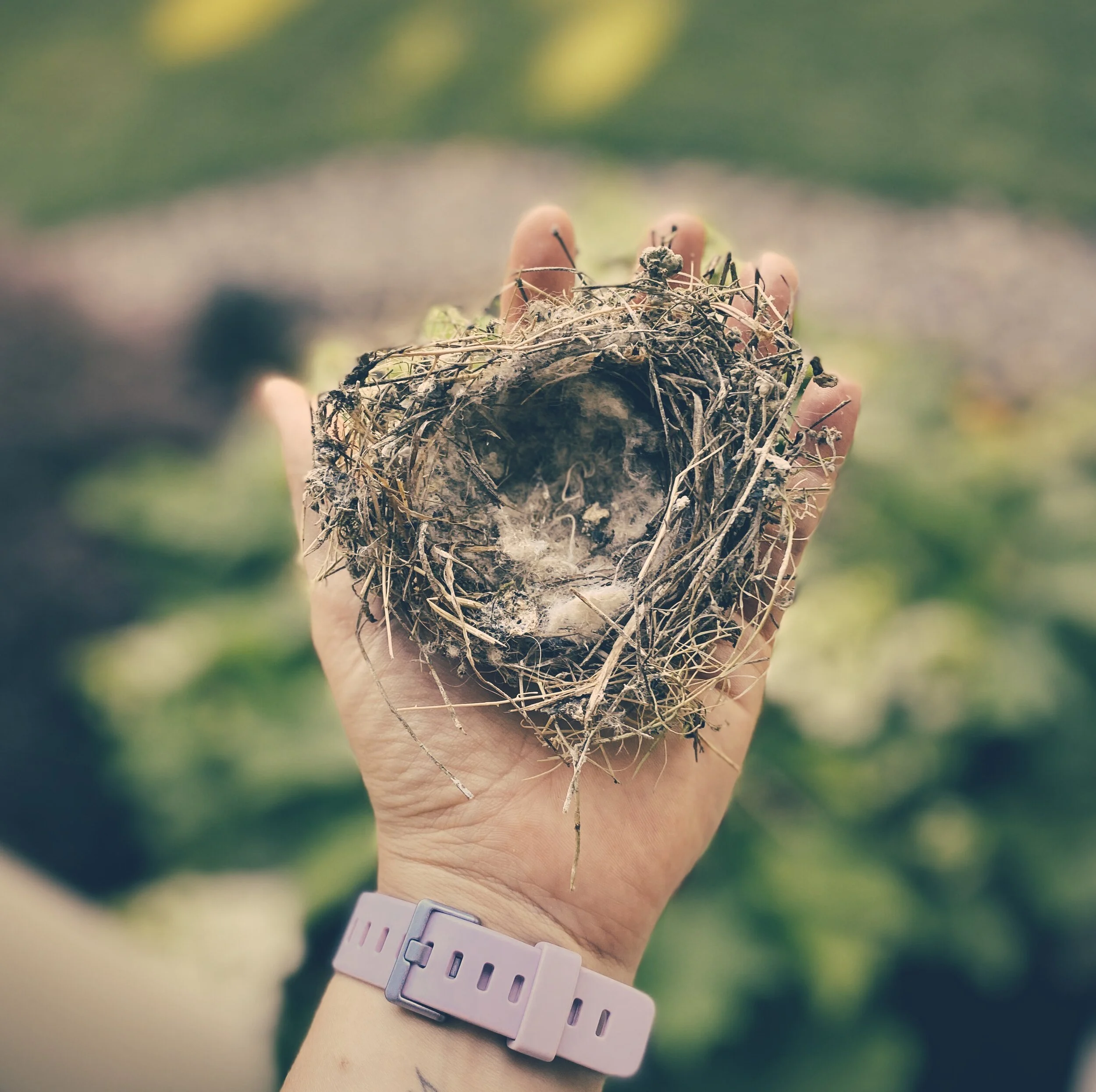 Confronting a Workspace That's More Mess Than Nest   