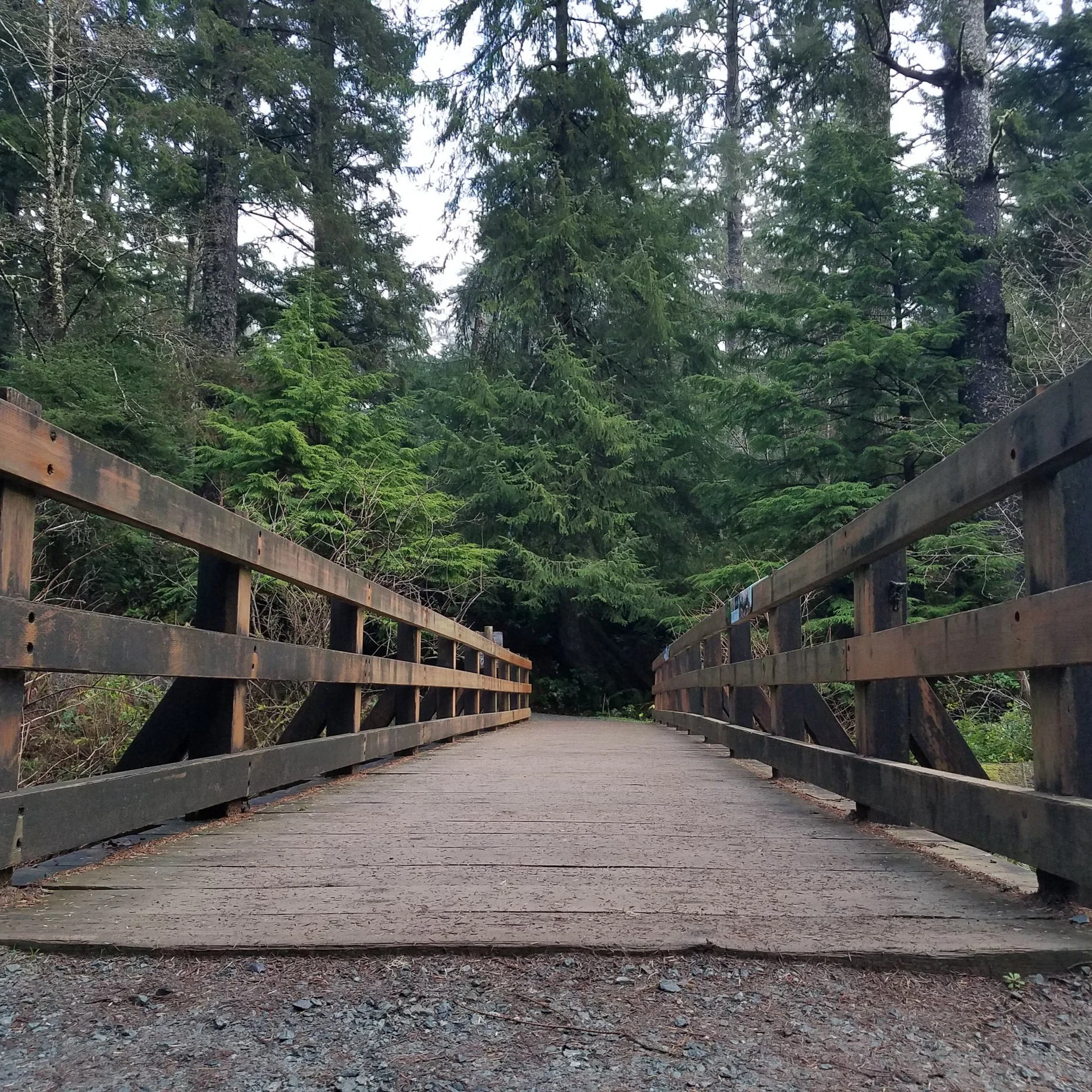 Why am I Doing this Again? 