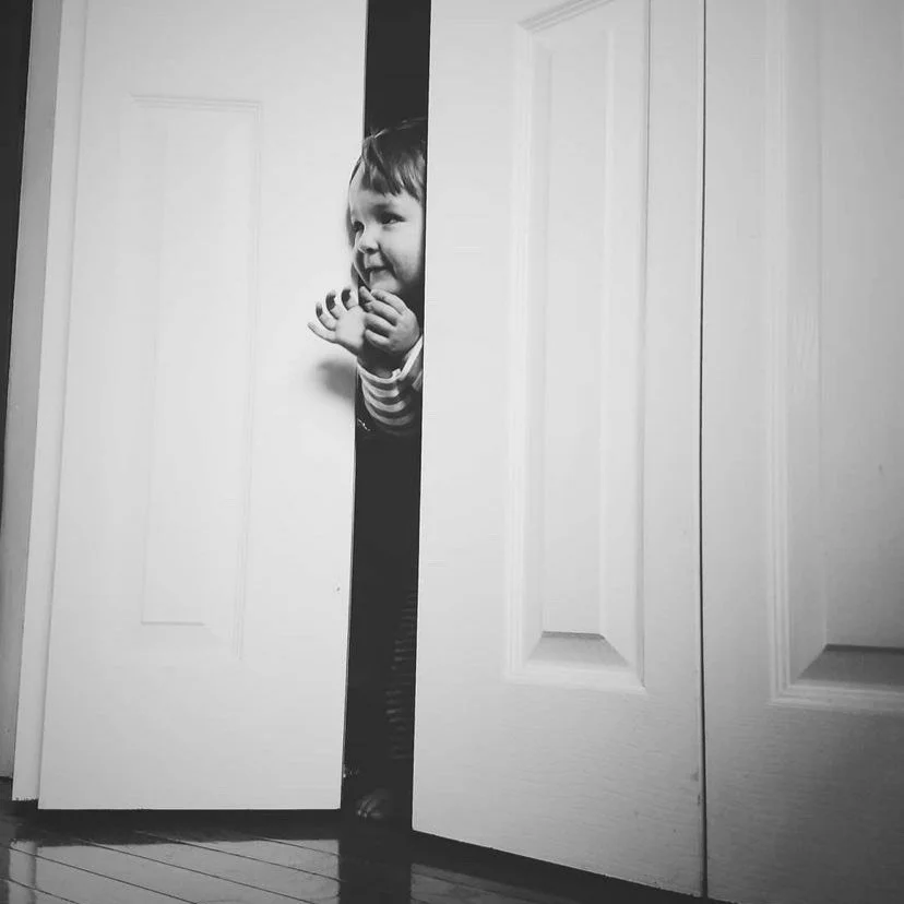 In Case of Rapture, Check Closet