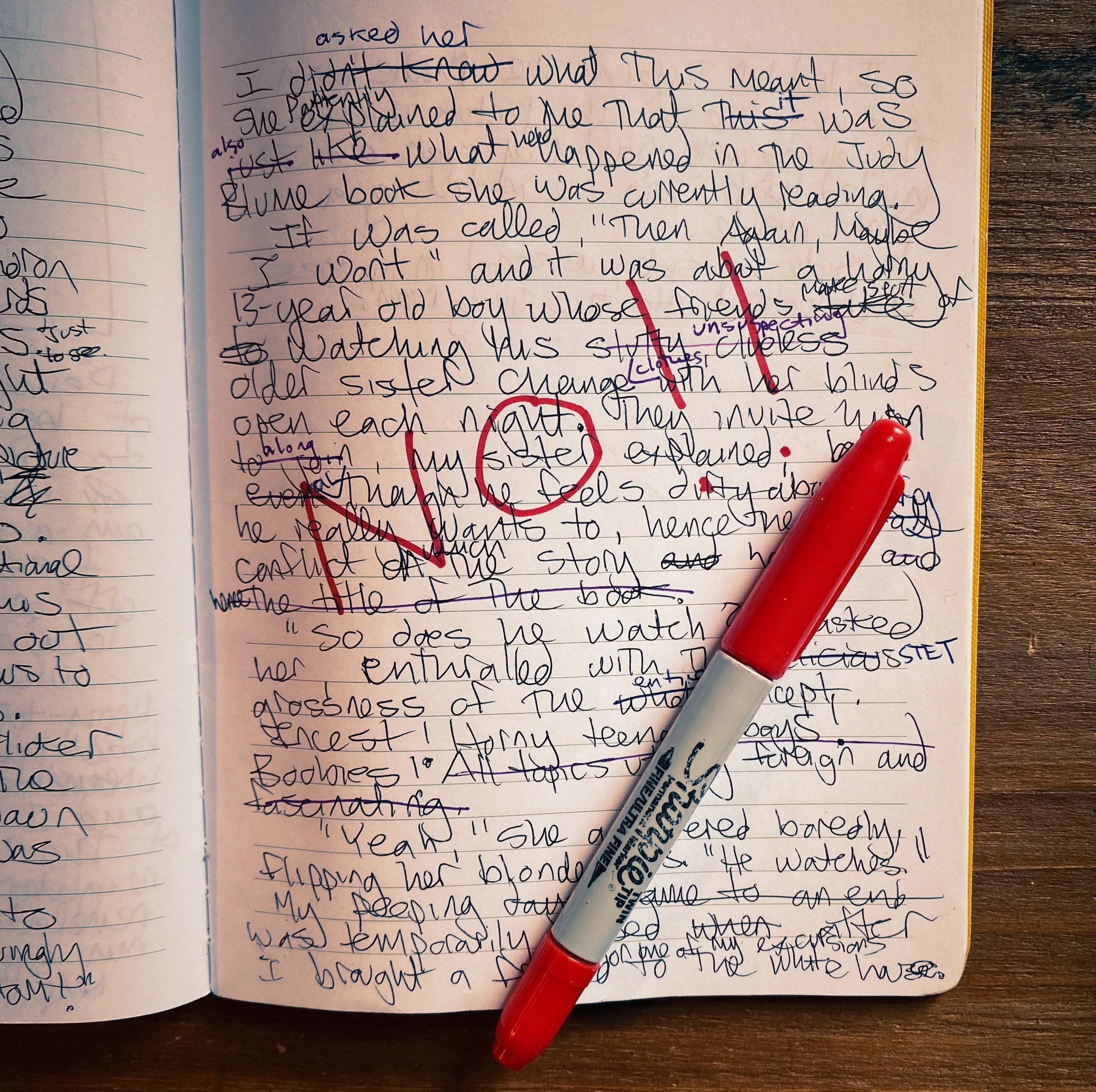 In Praise of Unrevising