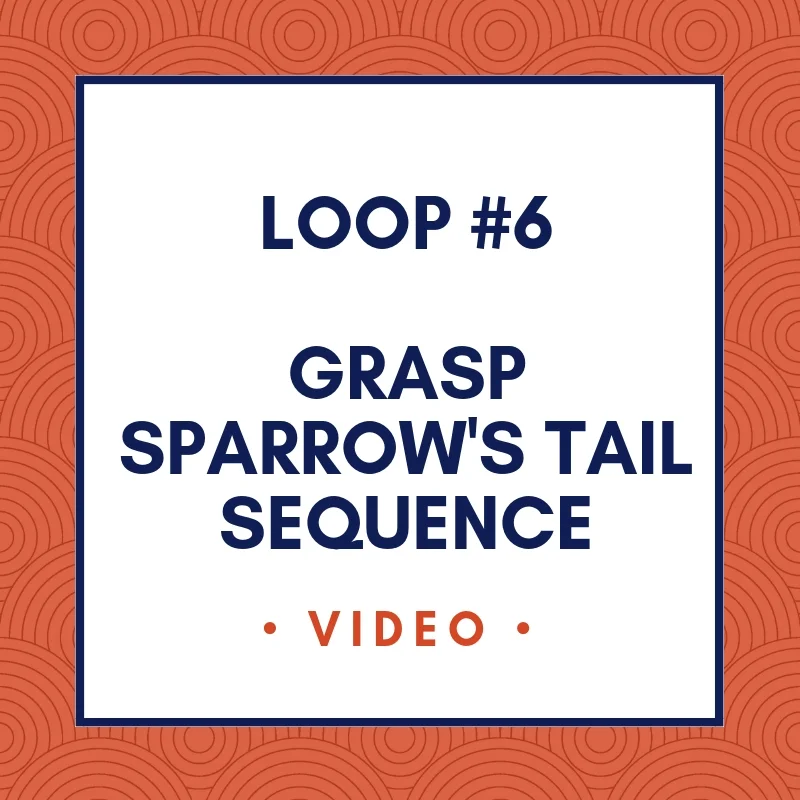 Loop #6 -- Grasp Sparrow's Tail Sequence