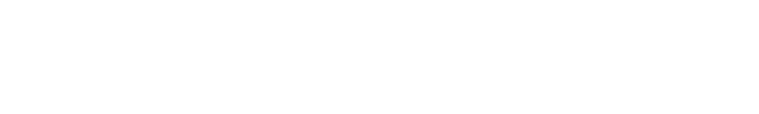 MARK LUNDGREN LLC