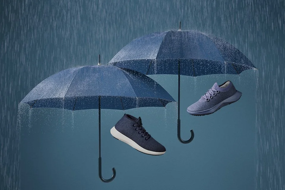 Allbirds | Landing Page