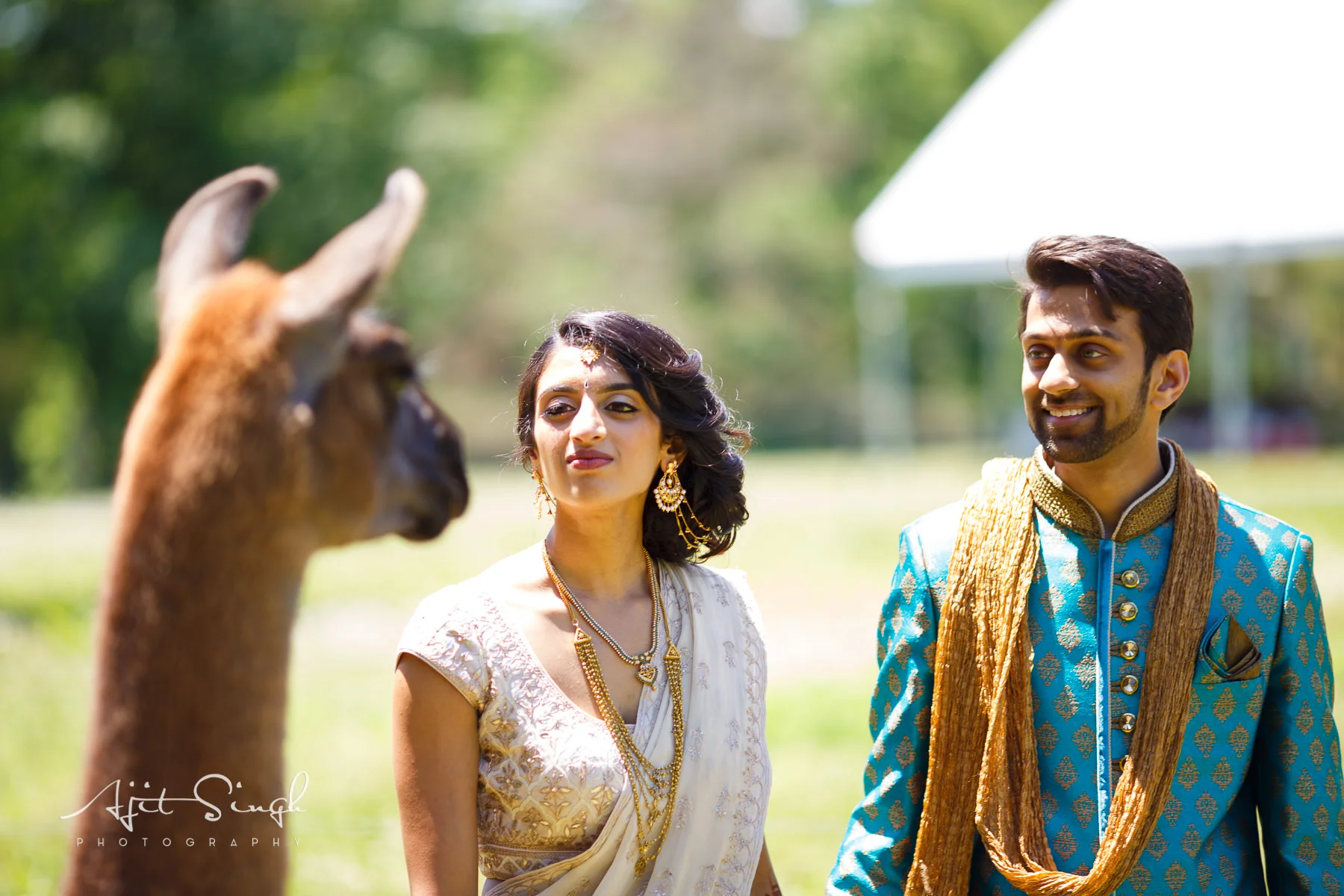 ASP-MS-Wedding-1247.jpg