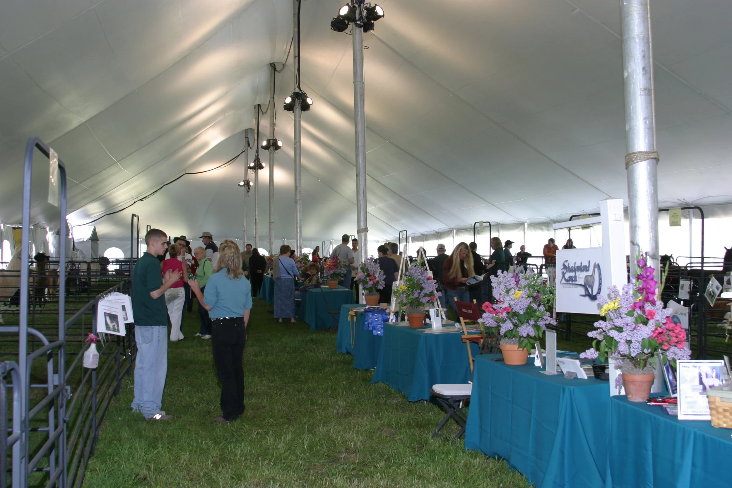 After hosting the first alpaca auction in Atlantic City, we thought WoodsEdge would be a great location for our annual event.