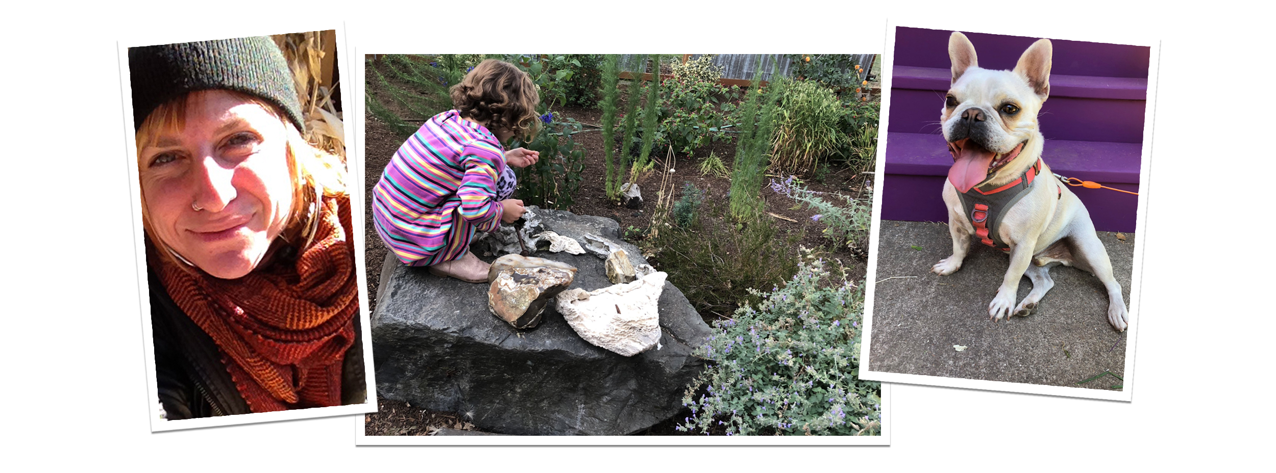 seed-garden-design-about-1.png
