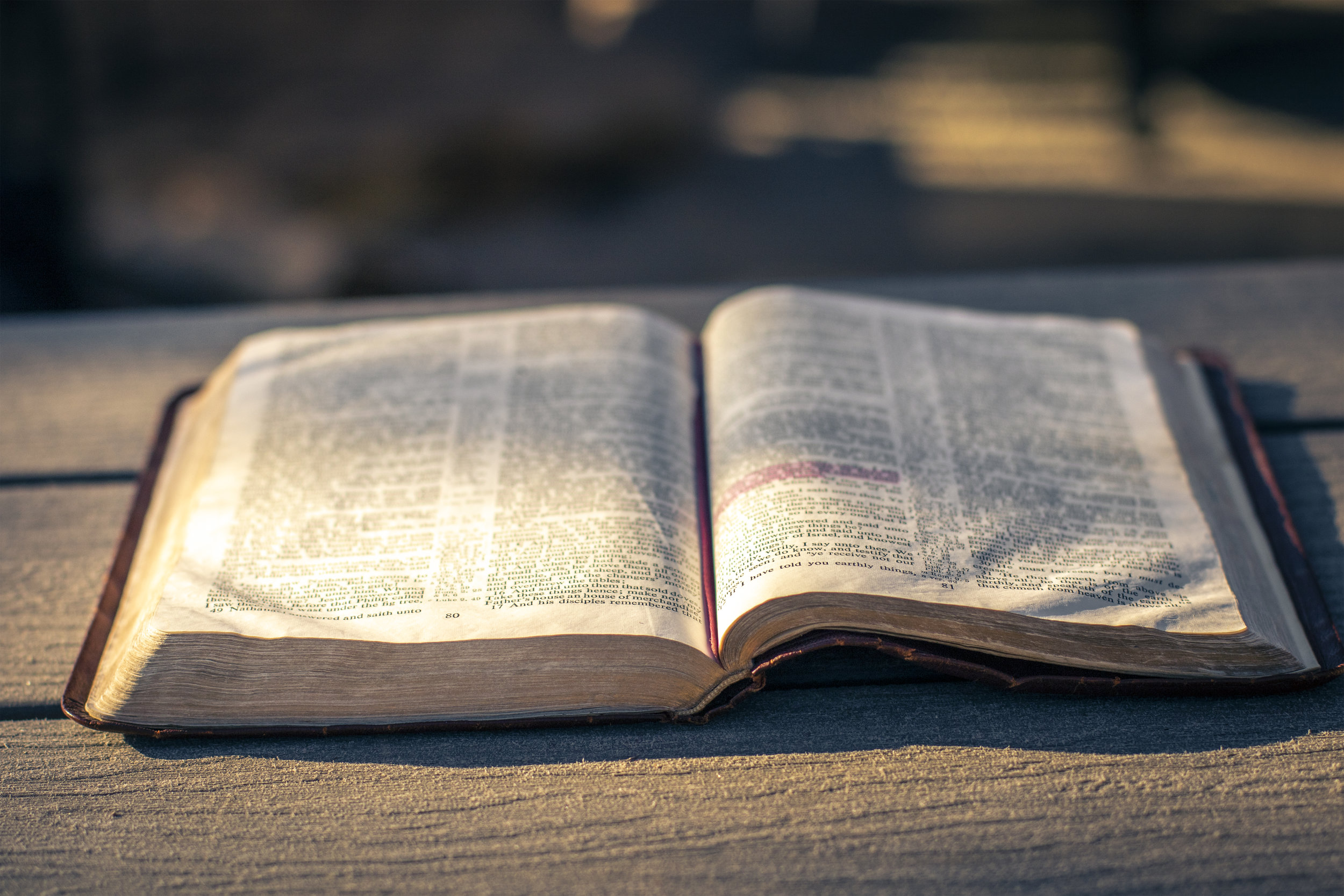 Appendix: Growth Group Curriculum