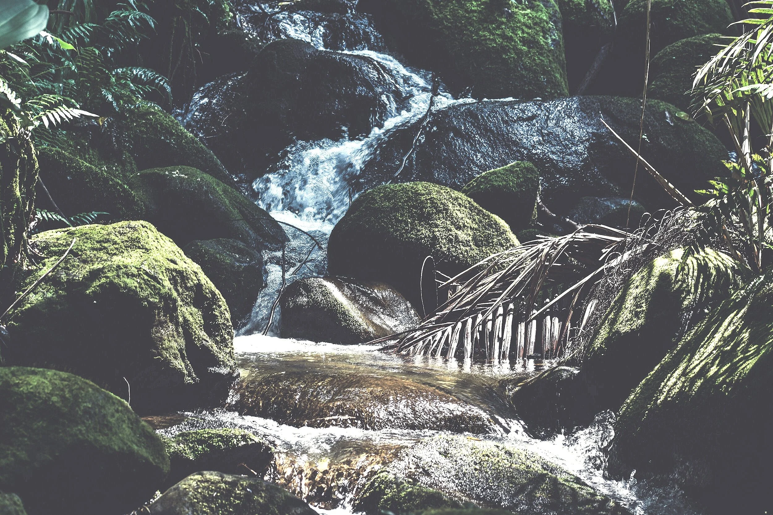 Counseling for Adults, Young Adults and Parent-Child Relationship