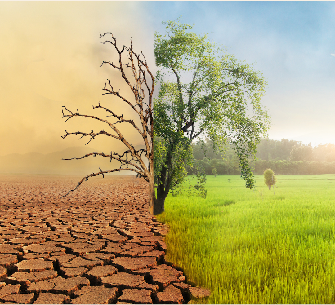 Change in the “Work”: Moses by Stacy Rodriguez