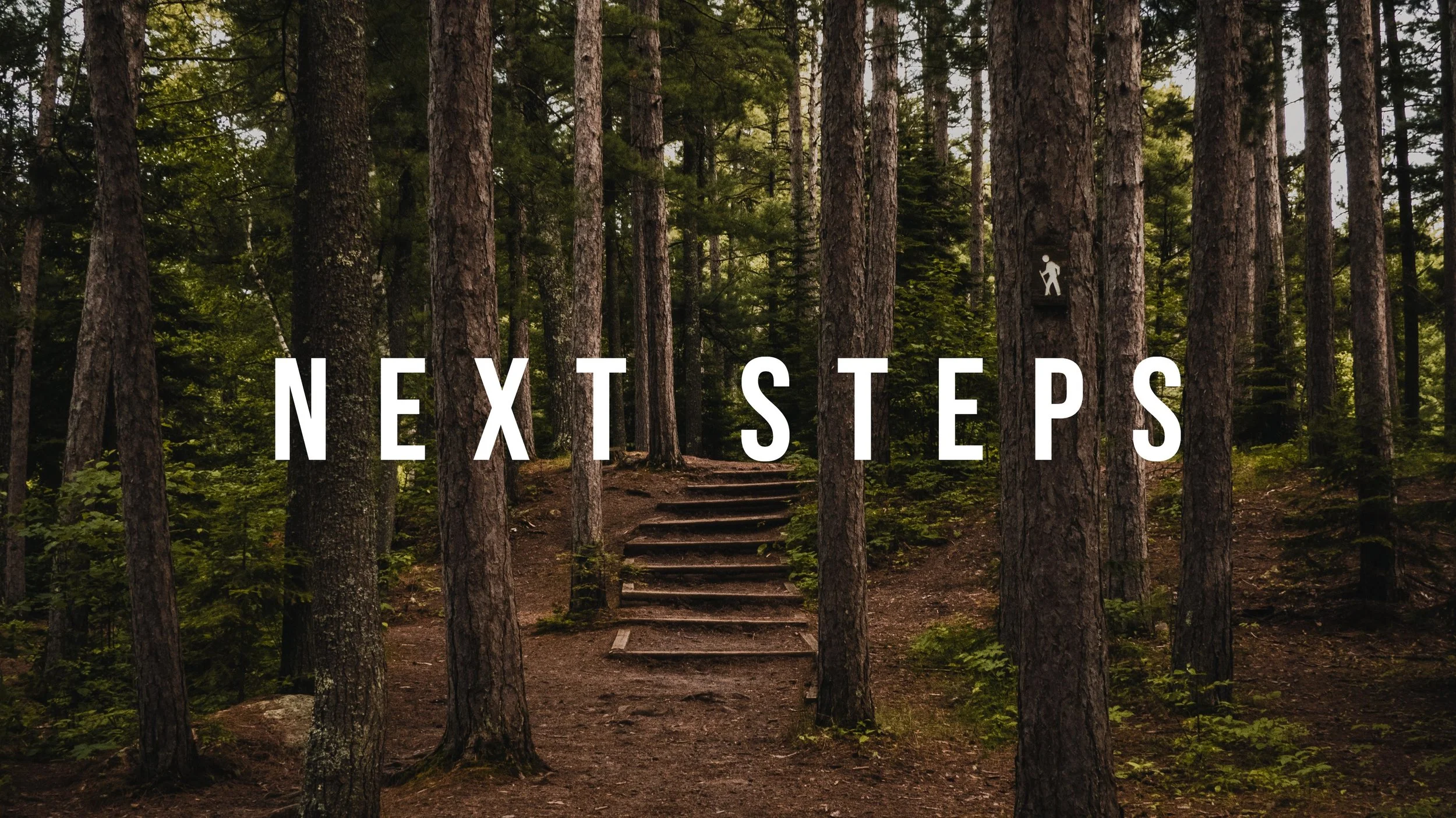 Next-Steps-Graphic.jpg