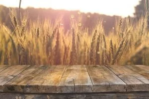 Shavuot vs Pentecost: Is There a Difference?